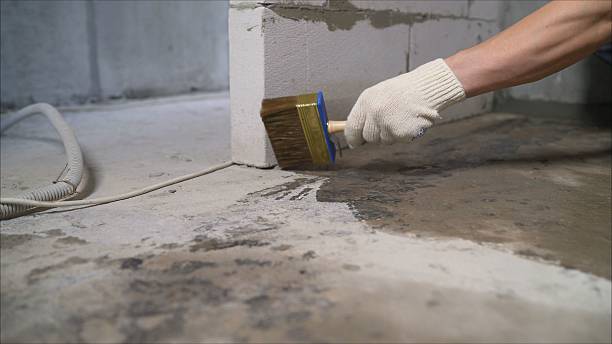 SJ Waterproofing Pros Basement Waterproofing coverage map for Elkton, VA and surrounding area